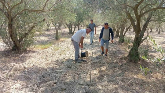 Buharkent'te tarım arazilerinde jeofizik çalışma