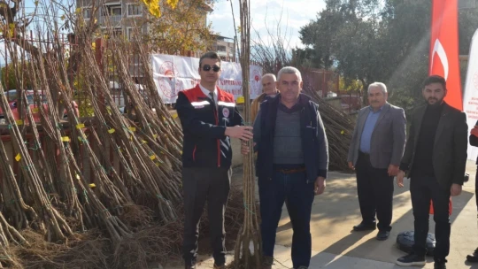 Buharkent'te üreticilere bin 300 kestane fidanı dağıtıldı