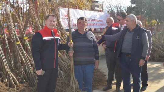 Buharkent'te üreticilere bin 300 kestane fidanı dağıtıldı