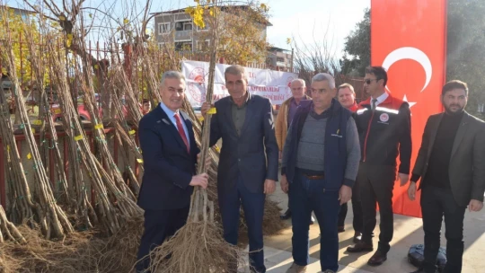 Buharkent'te üreticilere bin 300 kestane fidanı dağıtıldı