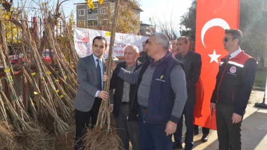 Buharkent'te üreticilere bin 300 kestane fidanı dağıtıldı
