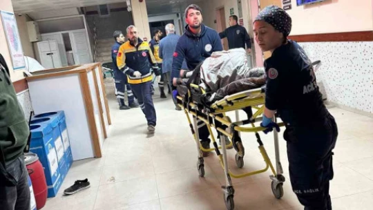 Buharkent'teki aile kavgasına 2 tutuklama