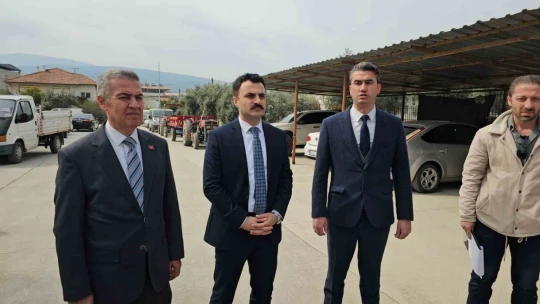 Buharkentli üreticiye kestane ve incir fidanı desteği
