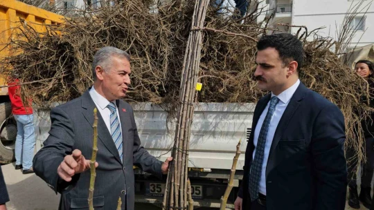 Buharkentli üreticiye kestane ve incir fidanı desteği