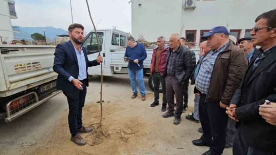 Buharkentli üreticiye kestane ve incir fidanı desteği