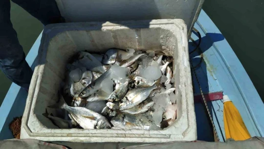 Büyük Menderes Nehri'nde su ürünleri denetimi yapıldı
