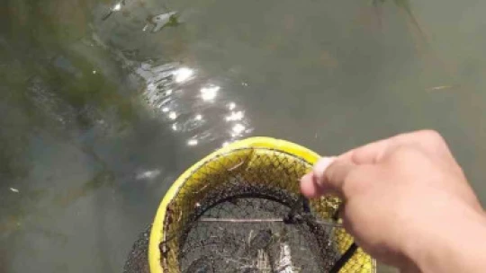 Büyük Menderes Nehri'nde su ürünleri denetimi yapıldı