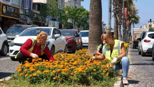 Büyükşehi'den Didim'de peyzaj ve temizlik çalışması