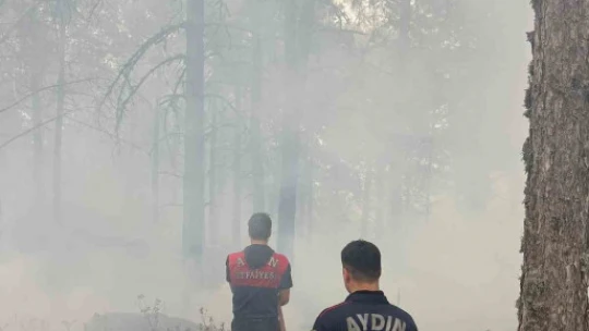 Büyükşehir Belediyesi yangınlara anında müdahale etti