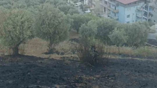 Büyükşehir Belediyesi yangınlara anında müdahale etti
