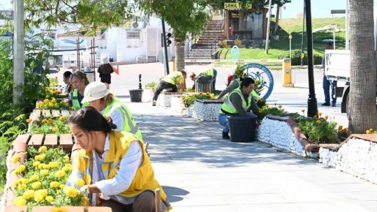 Büyükşehir'den Didim'de bakım ve onarım çalışması