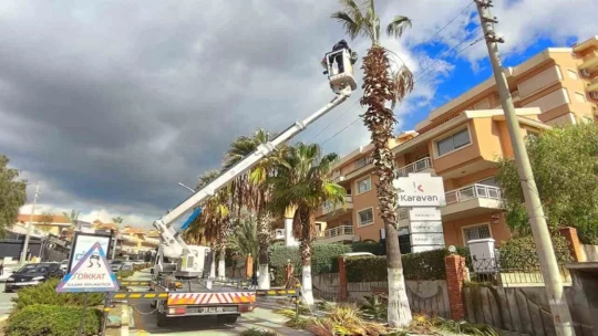 Büyükşehir'den Kuşadası'nın kent estetiğine dokunuş