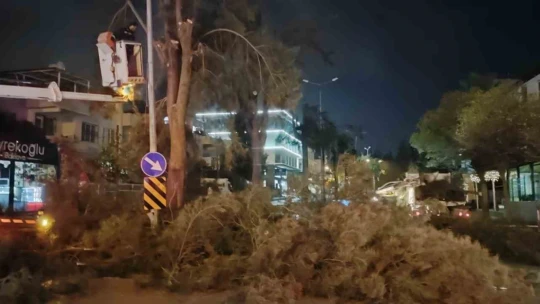 Büyükşehir'den Kuşadası'nın kent estetiğine dokunuş