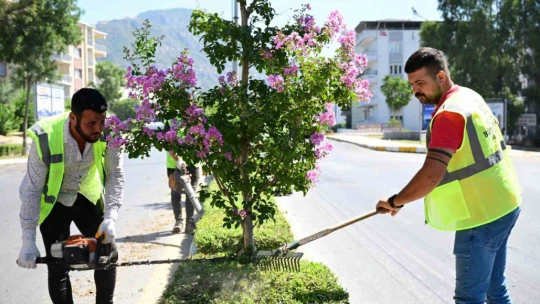 Büyükşehir'den Söke'de bakım ve temizlik çalışması