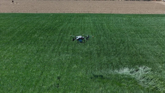 Büyükşehir'den ücretsiz drone ile gübreleme hizmeti