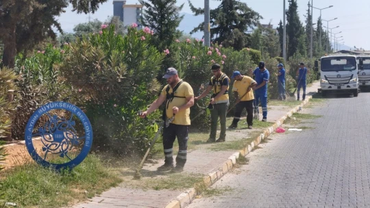 Büyükşehir ekipleri Nazilli'de temizlik ve peyzaj çalışması gerçekleştirdi