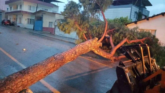 Büyükşehir ekiplerinden anında müdahale