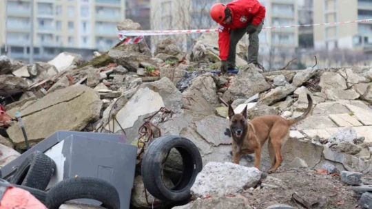 Büyükşehir'in arama kurtarma köpeği ödül aldı