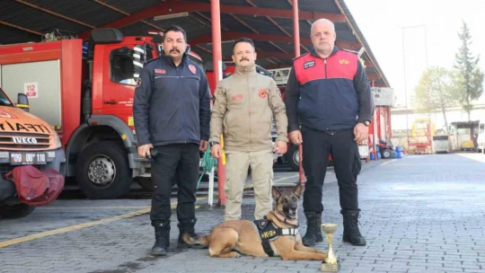 Büyükşehir'in arama kurtarma köpeği ödül aldı