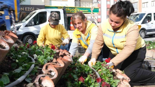 Büyükşehir'in çiçekleri Söke'yi renklendirdi