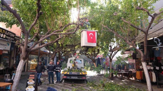 Büyükşehir İncirliova'da ağaçları budadı, vatandaşlar rahat bir nefes aldı