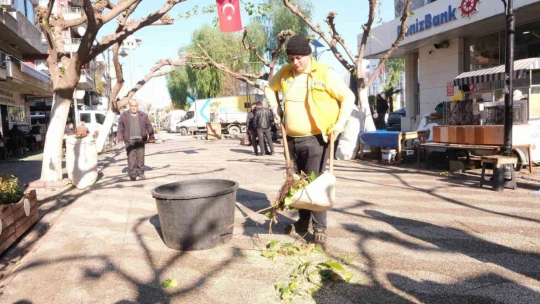 Büyükşehir İncirliova'da ağaçları budadı, vatandaşlar rahat bir nefes aldı