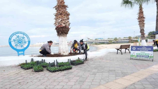 Büyükşehir, Kuşadası'nda çalışmalarını sürdürüyor