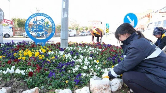 Büyükşehir, Nazilli'de çevre düzenleme çalışmalarına devam ediyor