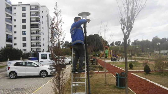 Büyükşehir Belediyesi, Aydın'ı çiçeklerle süsledi