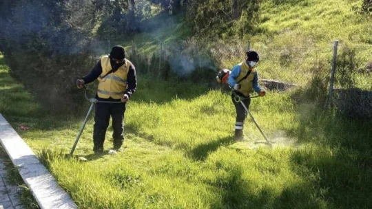 Büyükşehir Belediyesi, Aydın'ı çiçeklerle süsledi