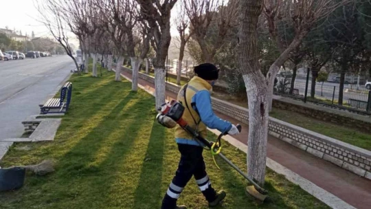 Büyükşehir Belediyesi, Aydın'ı çiçeklerle süsledi