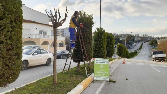 Büyükşehir Belediyesi, Aydın'ı çiçeklerle süsledi