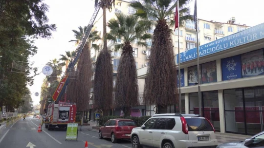 Büyükşehir Belediyesi, Aydın'ı çiçeklerle süsledi