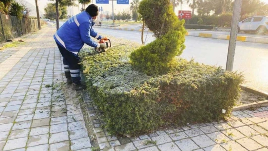 Büyükşehir Belediyesi, Aydın'ı çiçeklerle süsledi