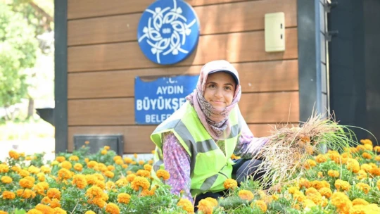 Büyükşehirin çalışmaları Sökelileri memnun etti