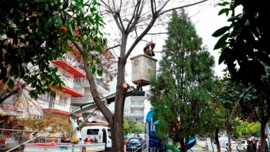 Büyükşehrin çalışmaları hız kesmeden devam ediyor