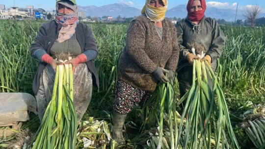 Çalışarak sağlığını koruyor ve ekonomik refahını sağlıyor