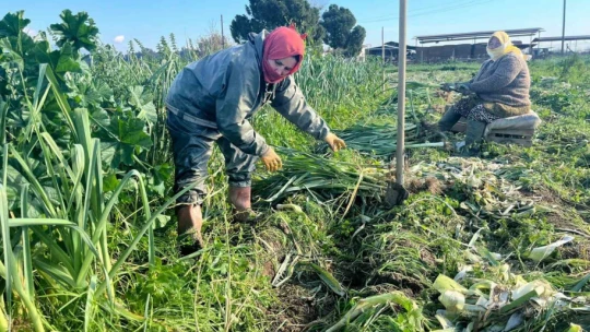 Çalışarak sağlığını koruyor ve ekonomik refahını sağlıyor