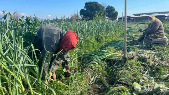 Çalışarak sağlığını koruyor ve ekonomik refahını sağlıyor