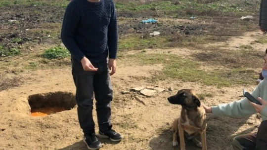 Can dostların besleme çalışmalarına engelliler de katıldı