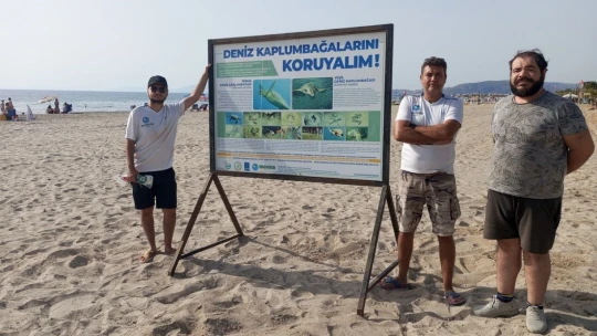Caretta carettalar Kuşadası'nda 3 ayrı noktaya yumurta bıraktı
