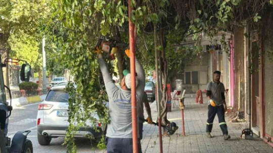 Çiçek gibi Nazilli için belediye ekipleri durmuyor
