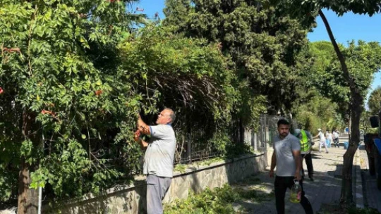 Çiçek gibi Nazilli için belediye ekipleri durmuyor
