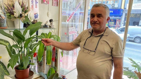Çiçekçilerden yazlık bakım uyarısı