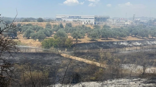 Çift sürülen tarla yangında zarar görmedi