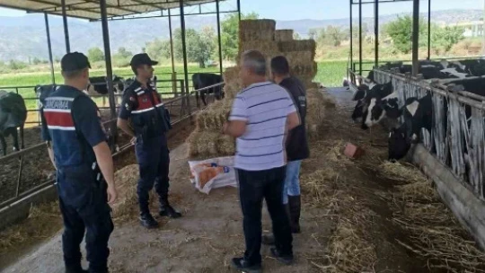 Çiftlik sahipleri saman yangınlarına karşı uyarıldı
