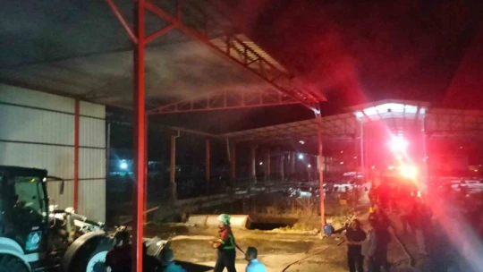Çiftlikte çıkan yangında yaklaşık 100 ton saman küle döndü