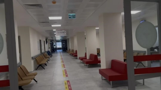 Çine'de 3 ayda yaklaşık bir yıllık doğum gerçekleşti