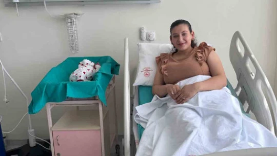 Çine'de 3 ayda yaklaşık bir yıllık doğum gerçekleşti