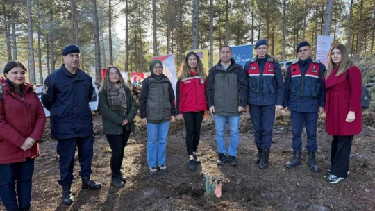 Çine'de fidanlar kadına şiddete karşı toprakla buluştu